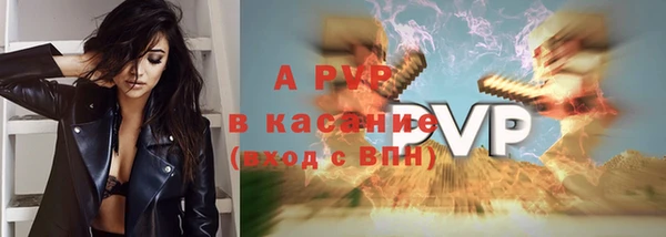 ГАЛЛЮЦИНОГЕННЫЕ ГРИБЫ Покровск