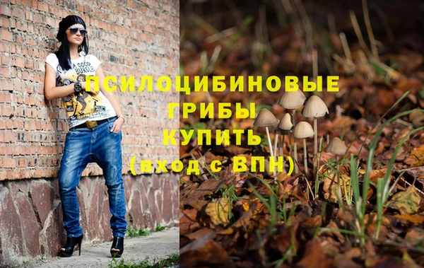 СК Покров
