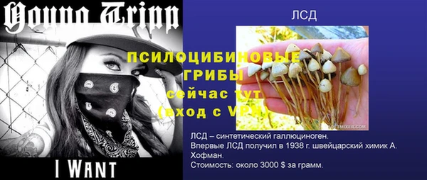 твердый Протвино